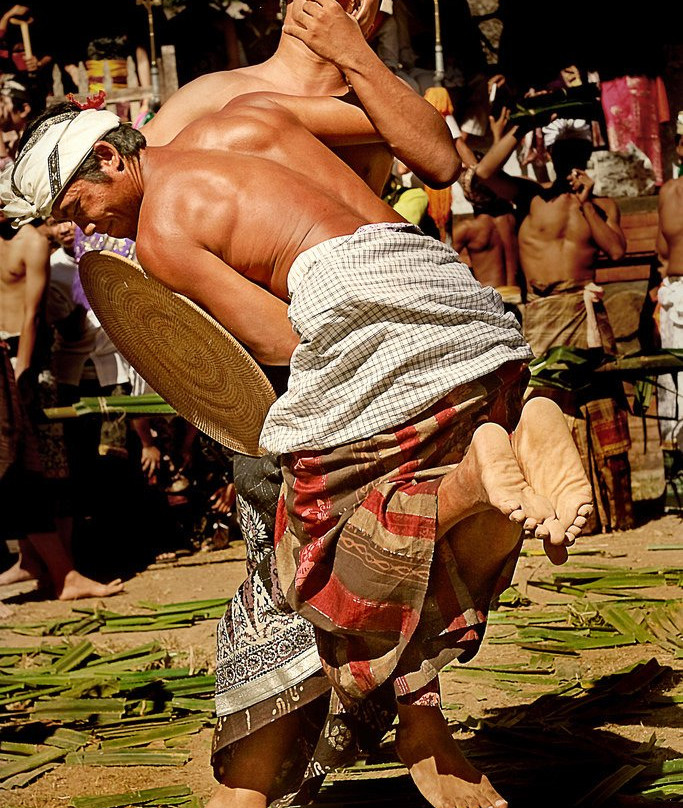 Your Bali Tour Driver-吉安雅必去景点