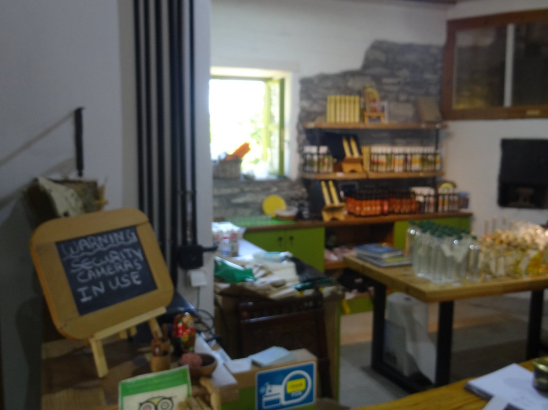 Ladomylos-Siana必去景点