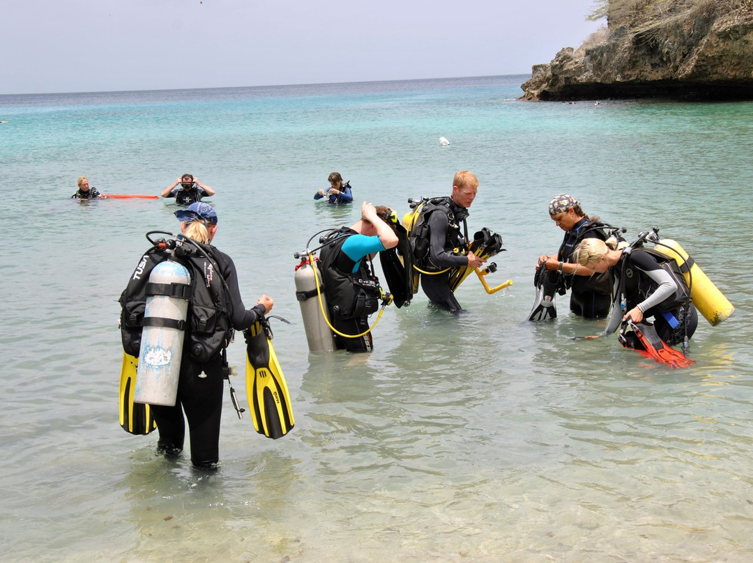 Red Snapper Diving-Dorp Sint Michiel必去景点