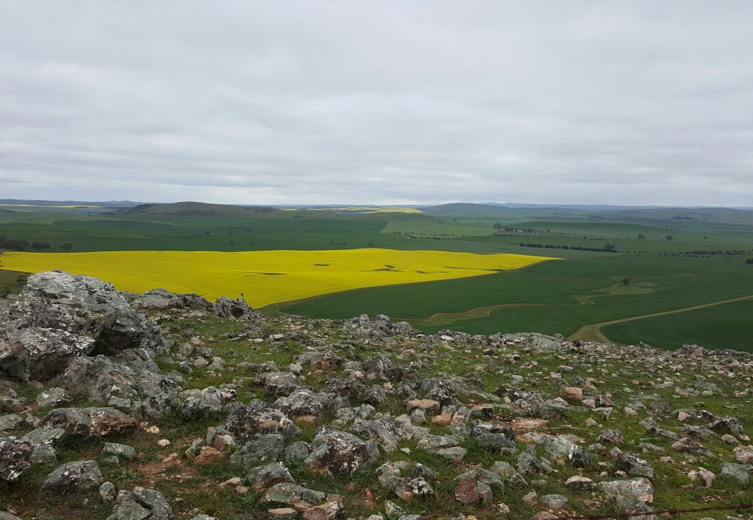 Heysen Trail景点图片