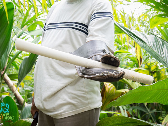 Osa Rural Tours-彭塔雷纳斯必去景点