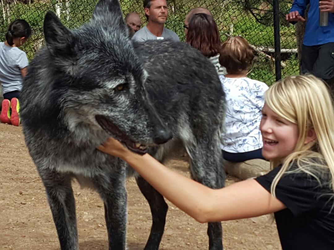 Mission: Wolf-Gardner必去景点