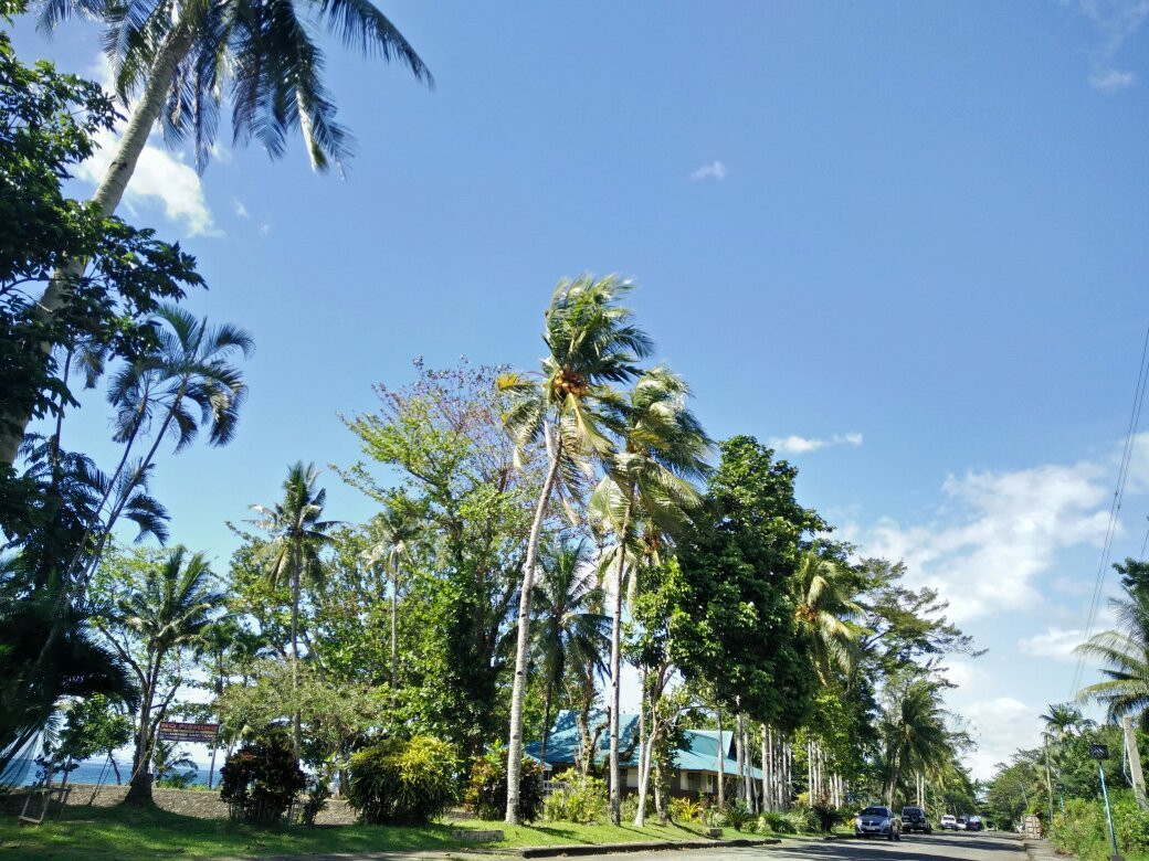 Visayas State University-Baybay必去景点