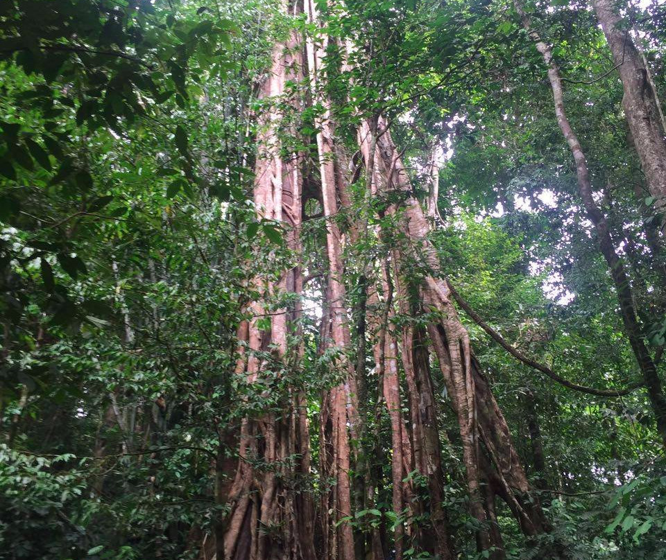 Kuala Koh National Park-话望生必去景点