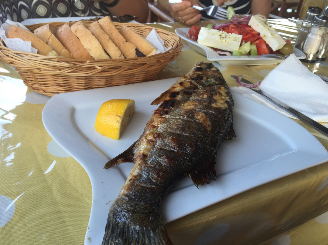 Pension Delfini Seaview主图