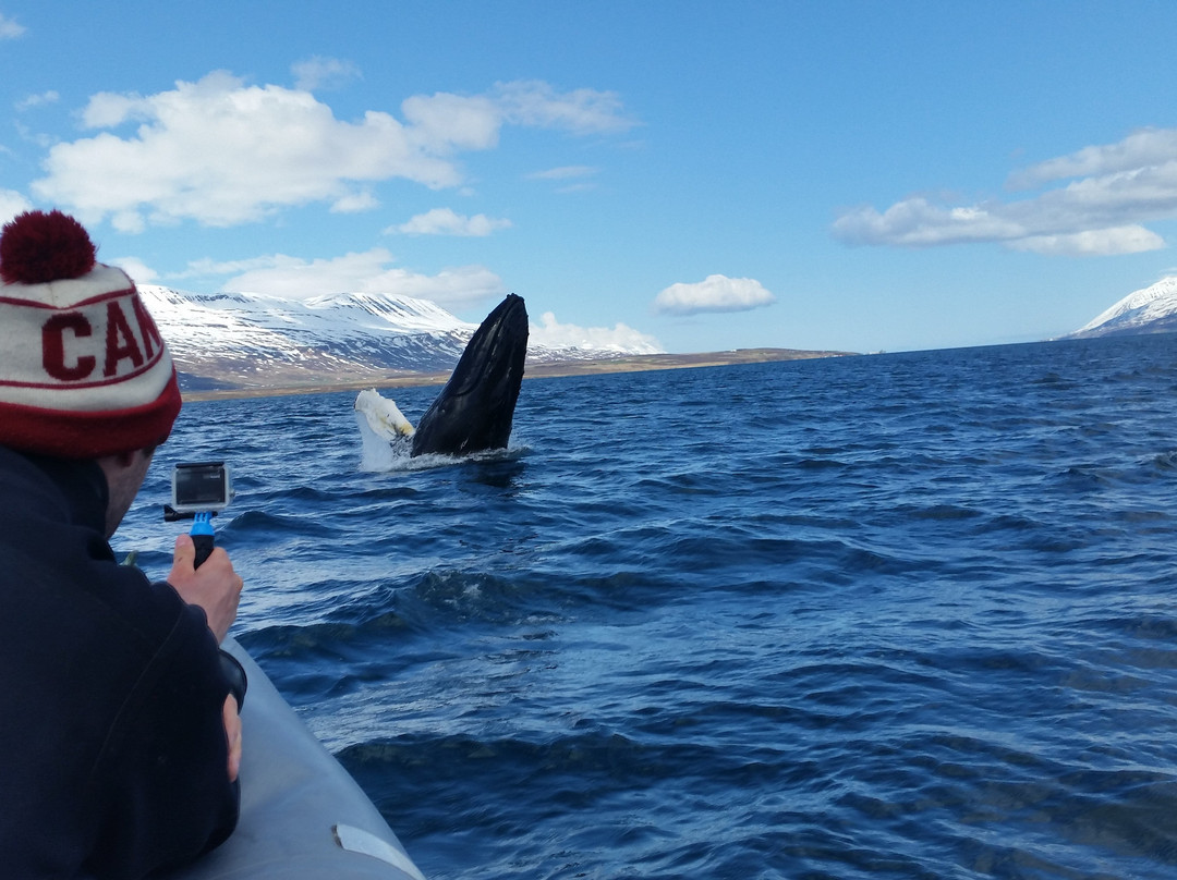 Strytan Divecenter-阿克雷里必去景点