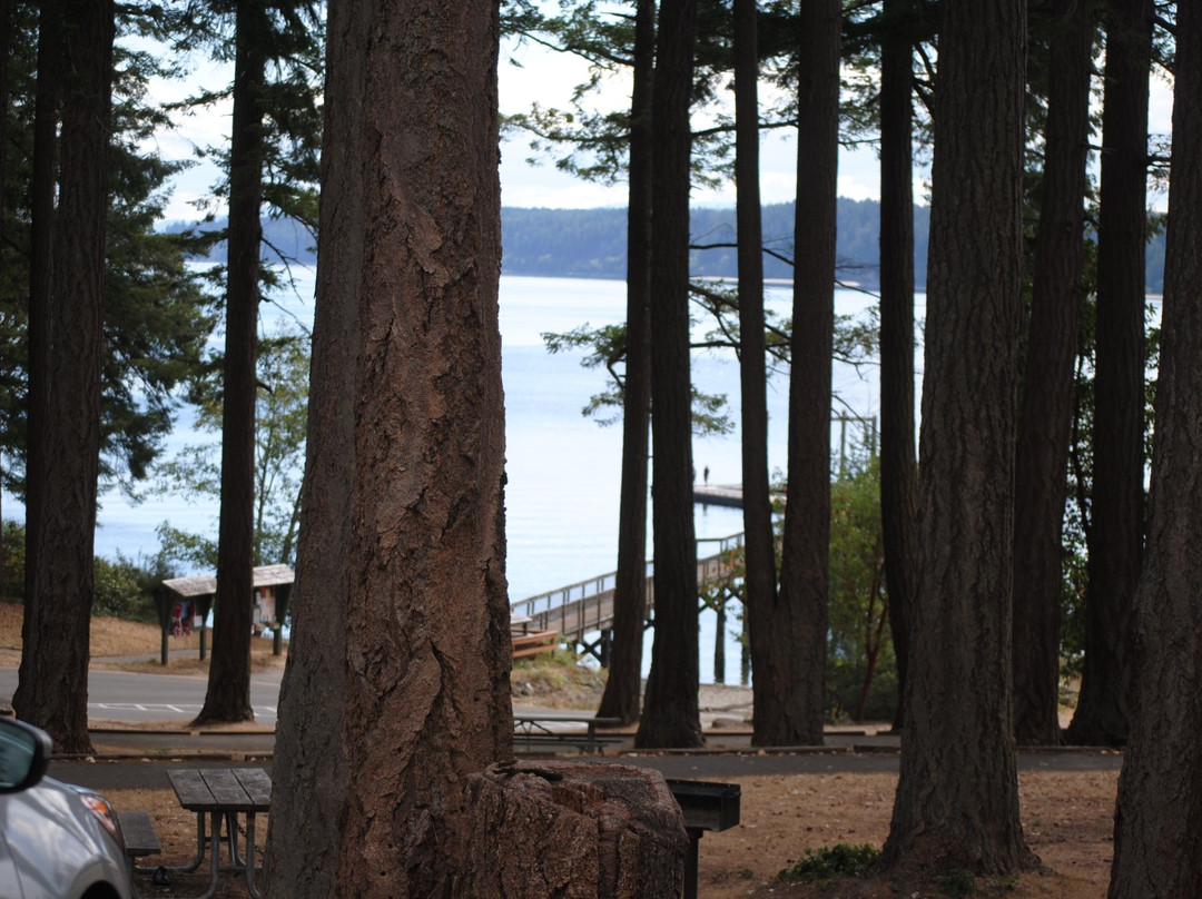 Joemma Beach State Park景点图片