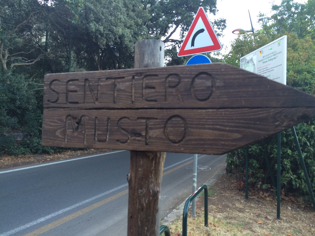 Parco della Favorita-巴勒莫必去景点