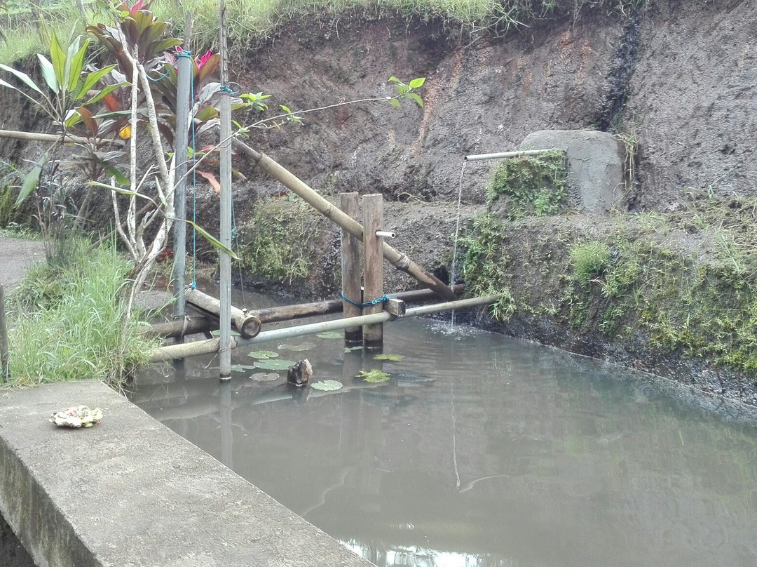 Bali Transport Tours-登巴萨必去景点