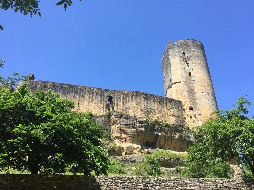 Chateau de Gavaudun景点图片