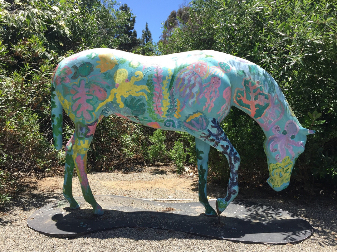 Lux Art Institute-恩西尼塔斯必去景点