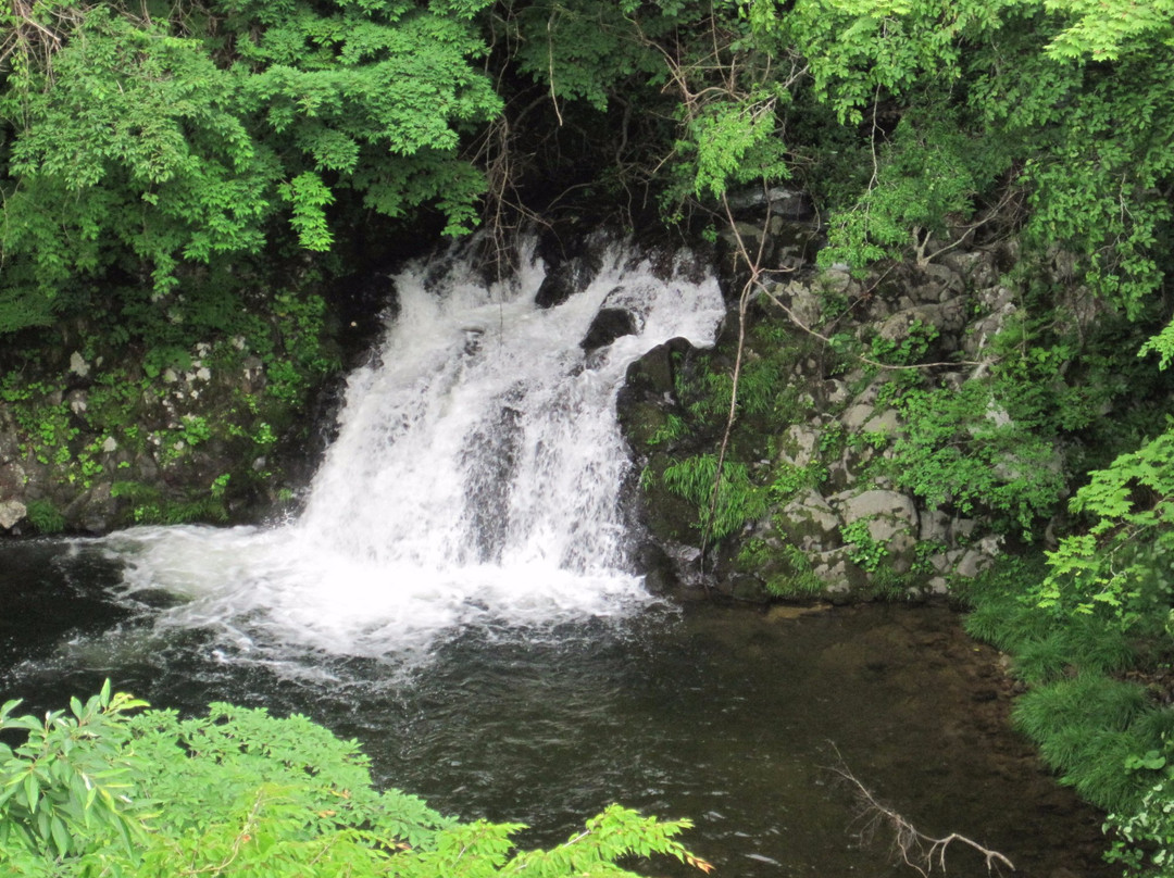 陆奥市旅游景点-Yagen River