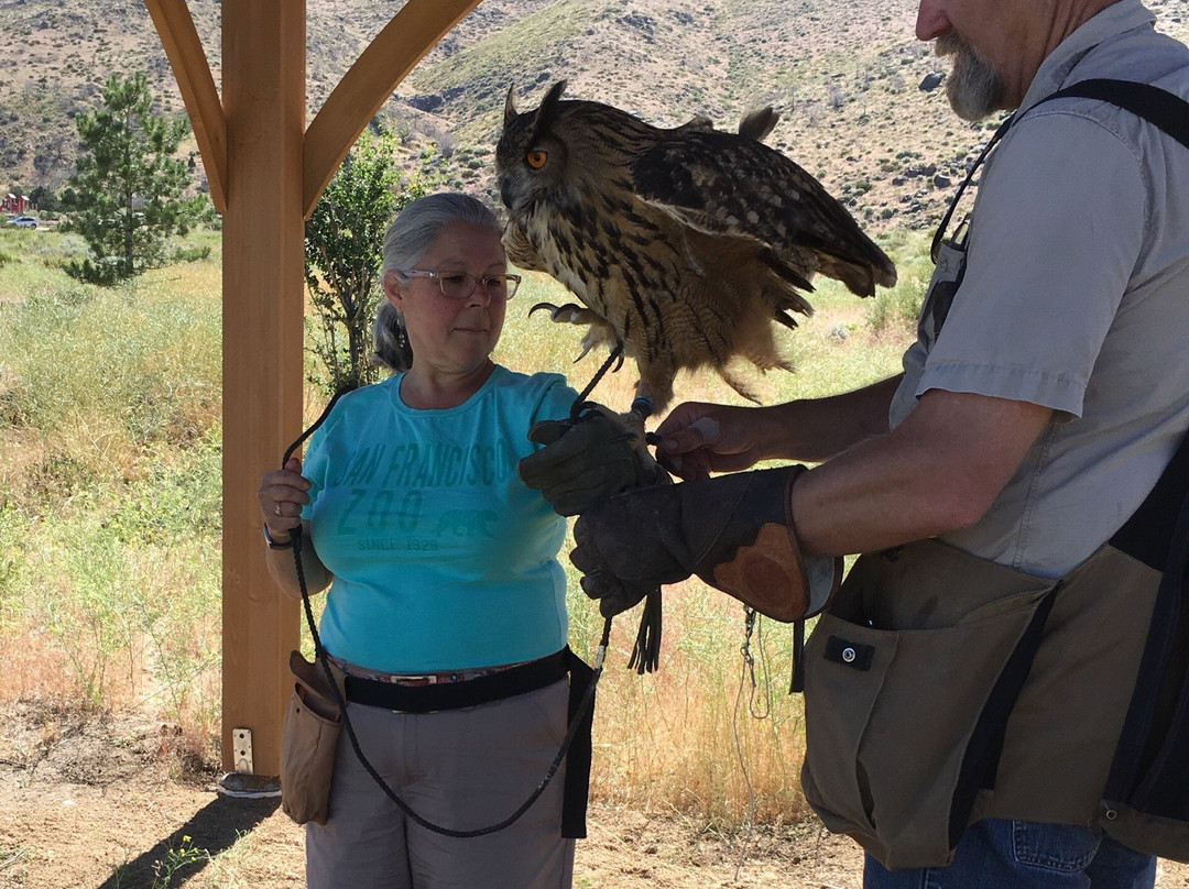 Raptor Adventures-里诺必去景点