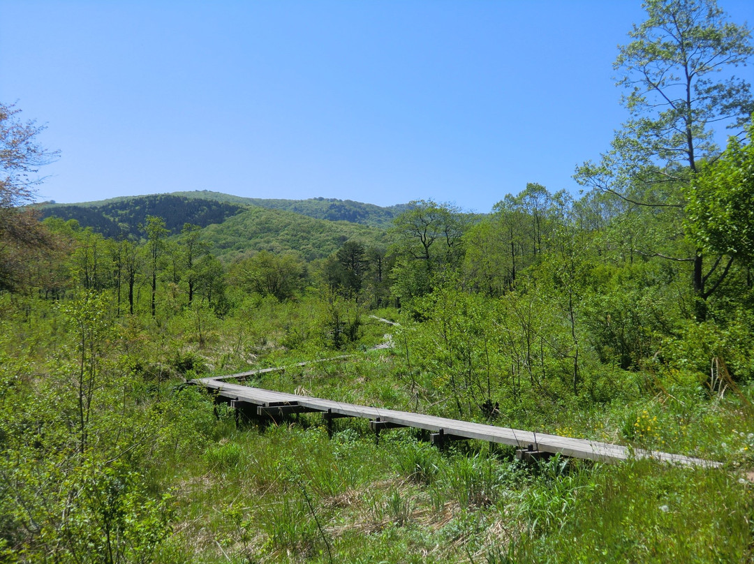 Yawata Wetlands景点图片