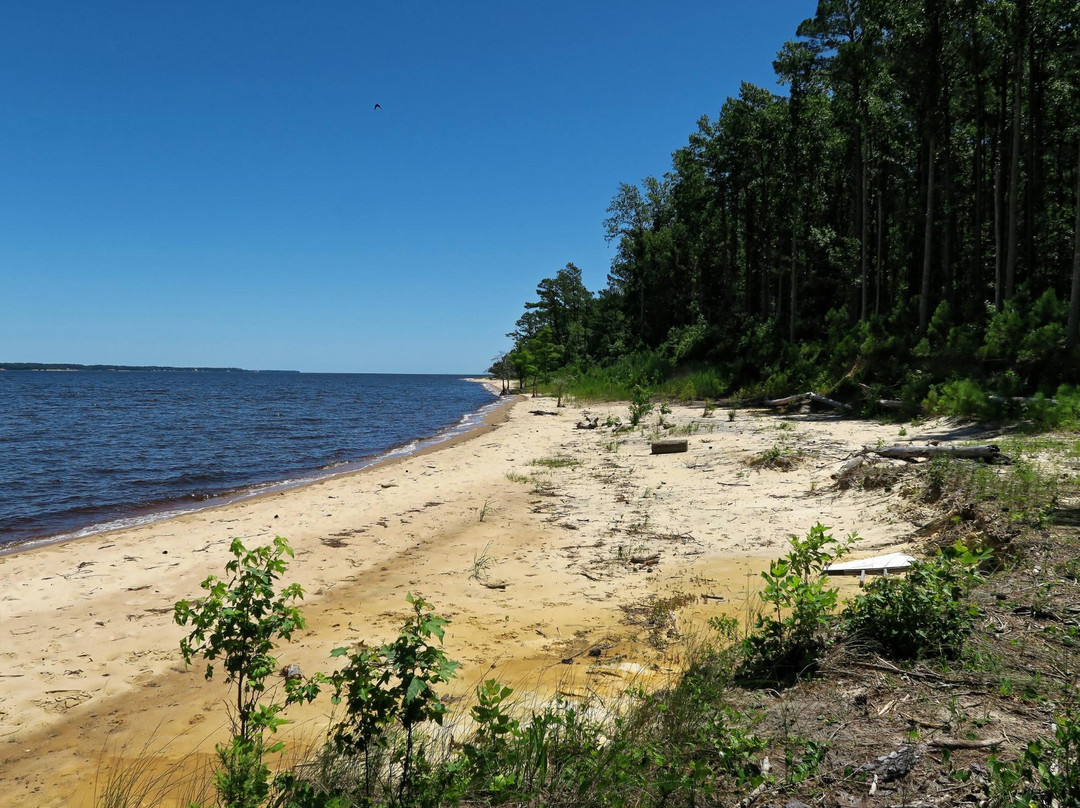 Pine Cliffs Recreation Area - Neusiok Trail景点图片