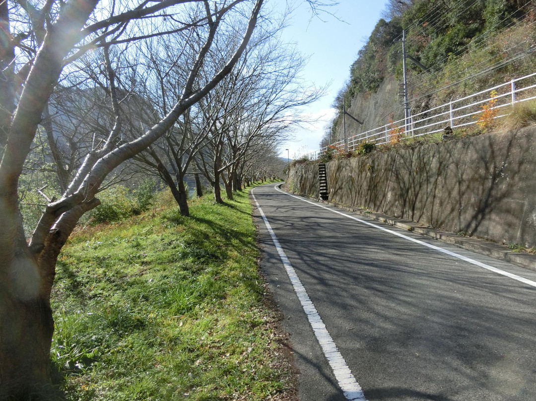 Katatetsu Roman Cycling Road景点图片