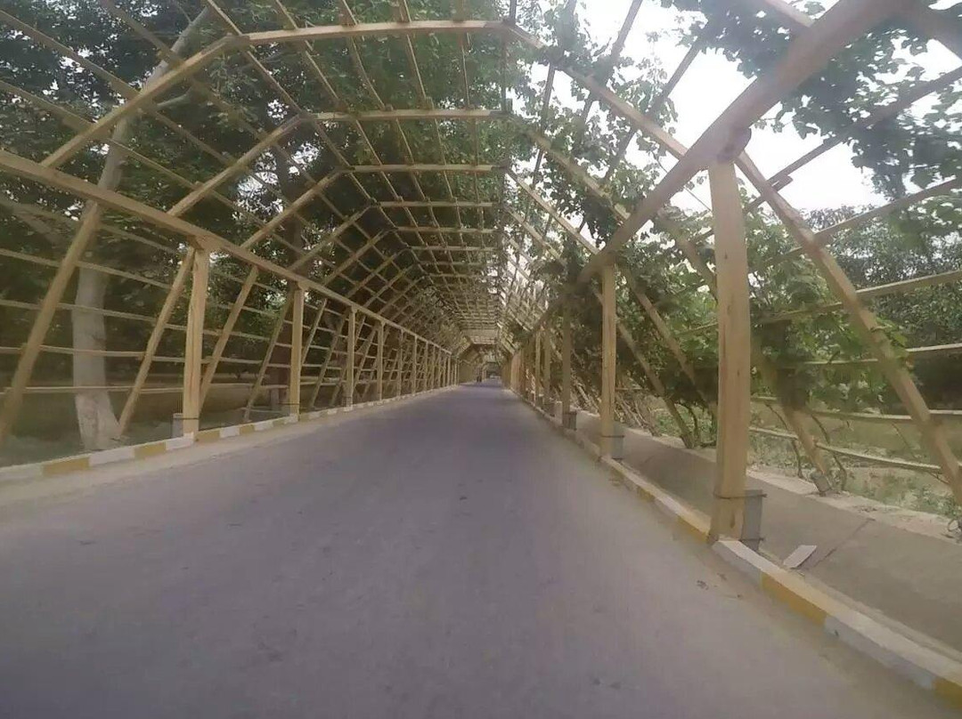 葡萄长廊-和田县必去景点