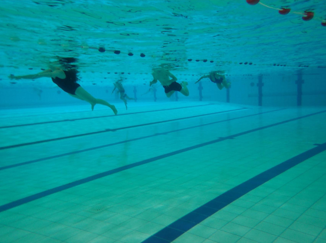 LAGO Brugge Olympia景点图片