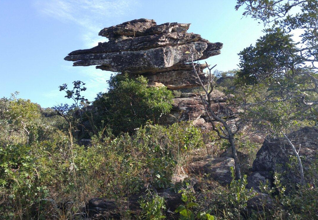 Serra Dourada State Park景点图片