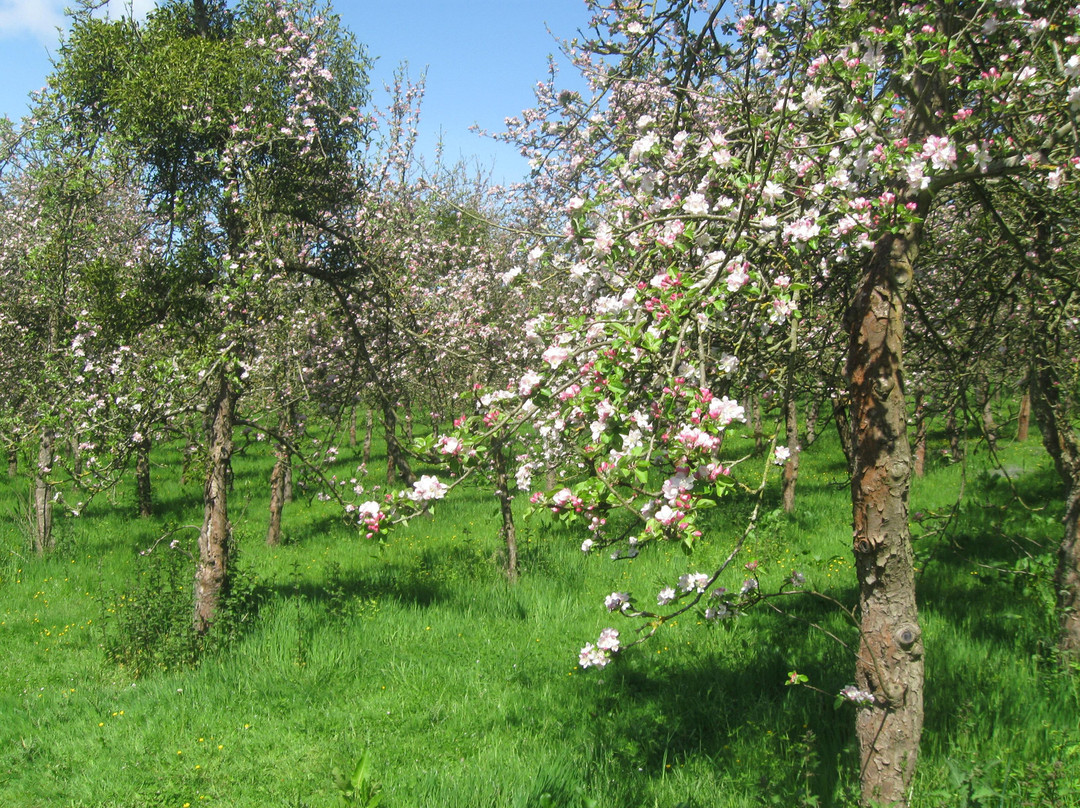 Broome Farmhouse主图