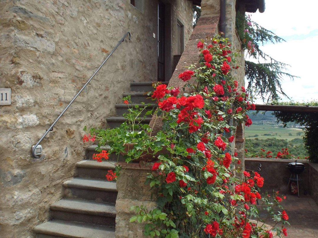 Castello di Montozzi景点图片