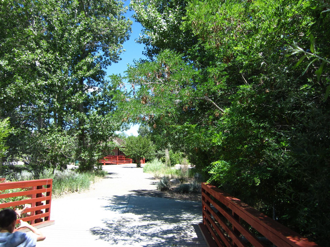 Oxbow Nature Study Area-里诺必去景点