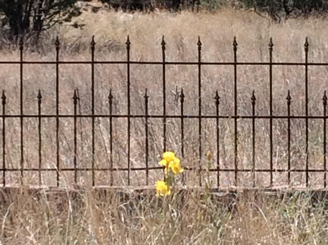 Mimbres River Preserve-Silver City必去景点