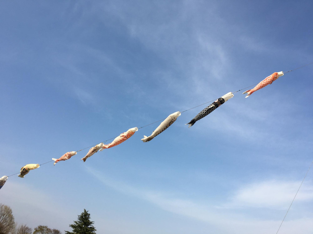 Akabori Seseragi Park-伊势崎市必去景点