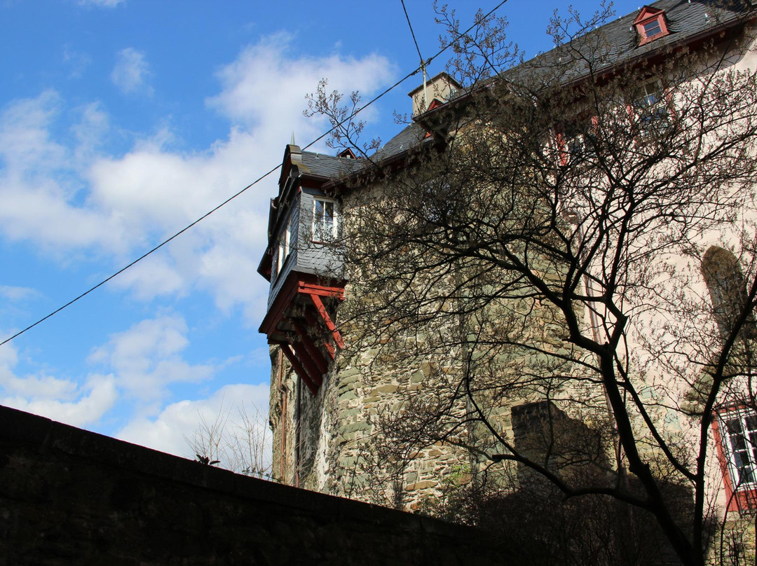 Runkel Castle景点图片