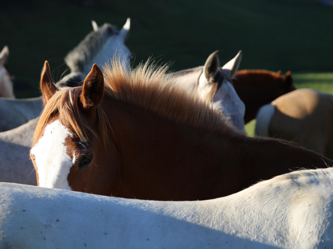 MontaRuna-昆卡必去景点