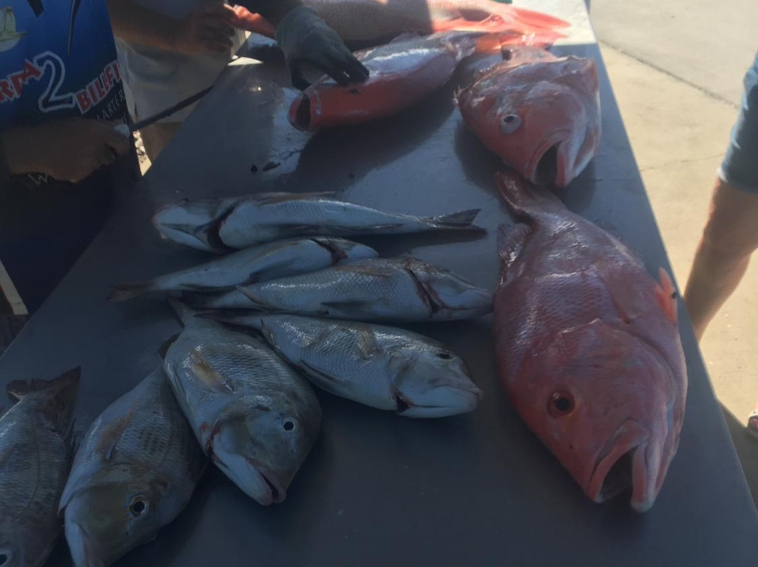 Barra 2 Billfish Fishing Charters景点图片