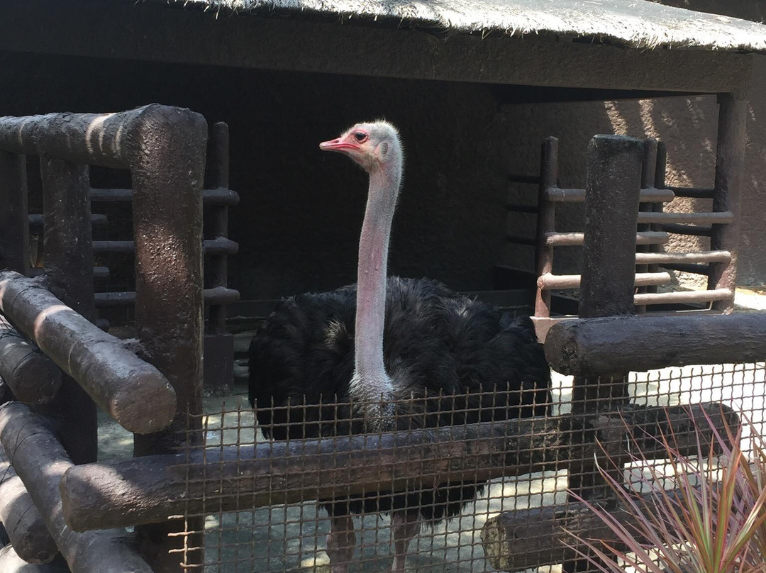 Pasig Rainforest Park-巴石必去景点