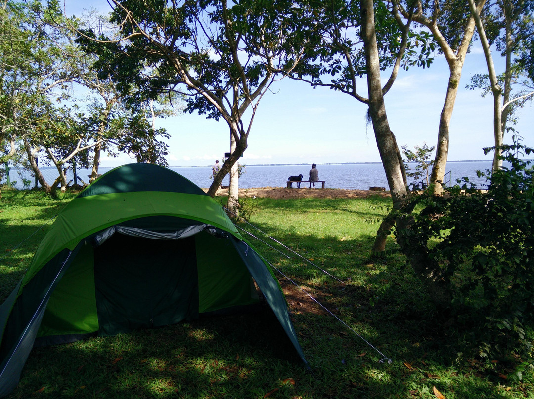 Orchids Village主图