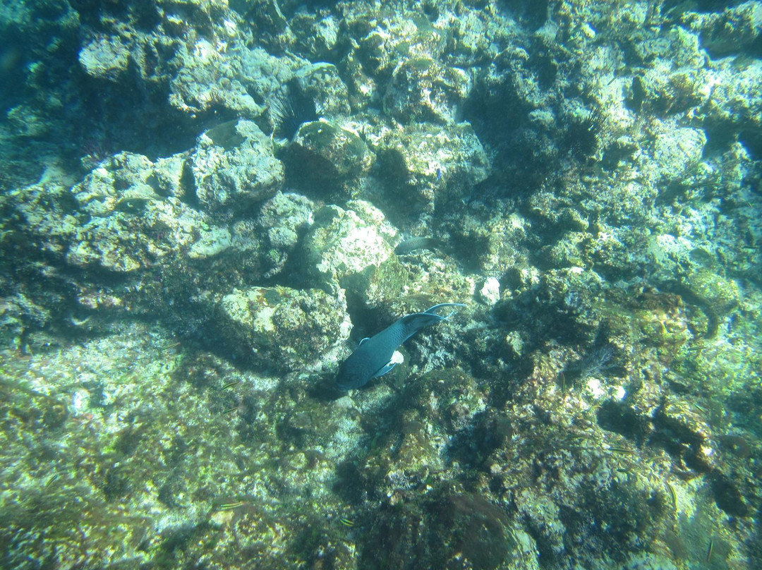 Punta Mita Charters-蓬塔米塔必去景点