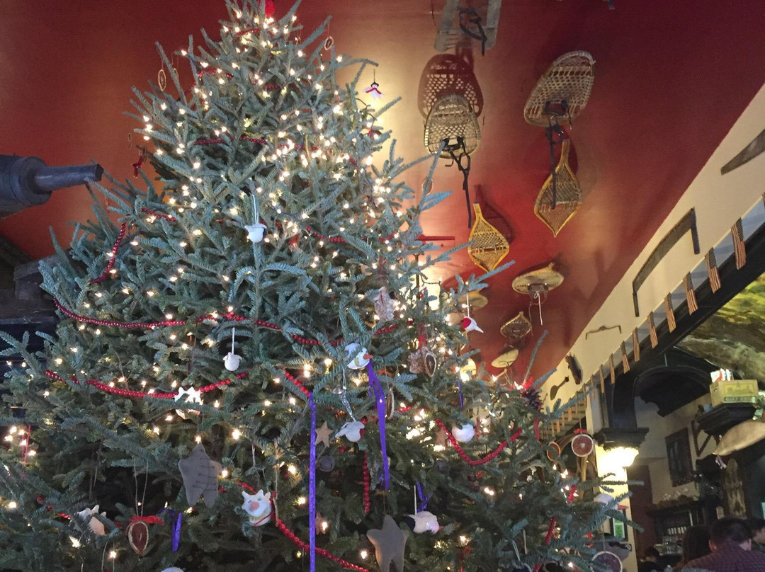 Michigan House主图