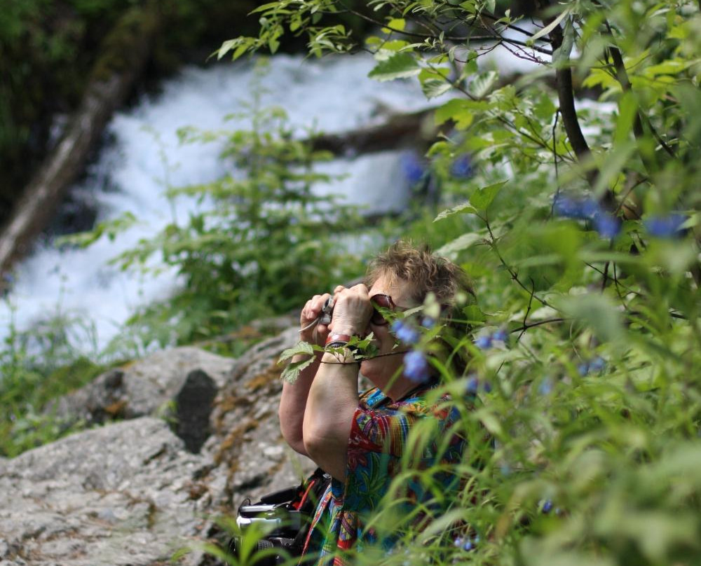 Pioneer Falls-帕尔默必去景点