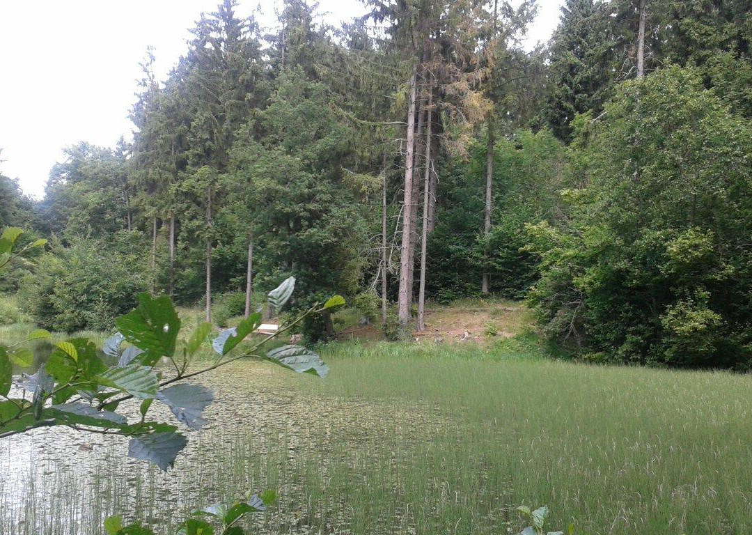 Rothsee-Bischofsheim in der Rhoen必去景点
