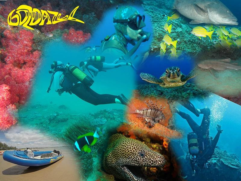 Gozo Azul Marine-Santa Maria必去景点