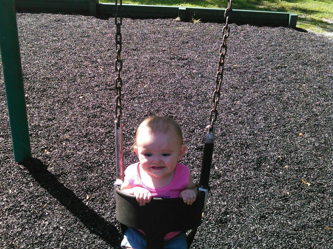 Kanapaha Park-盖恩斯维尔必去景点