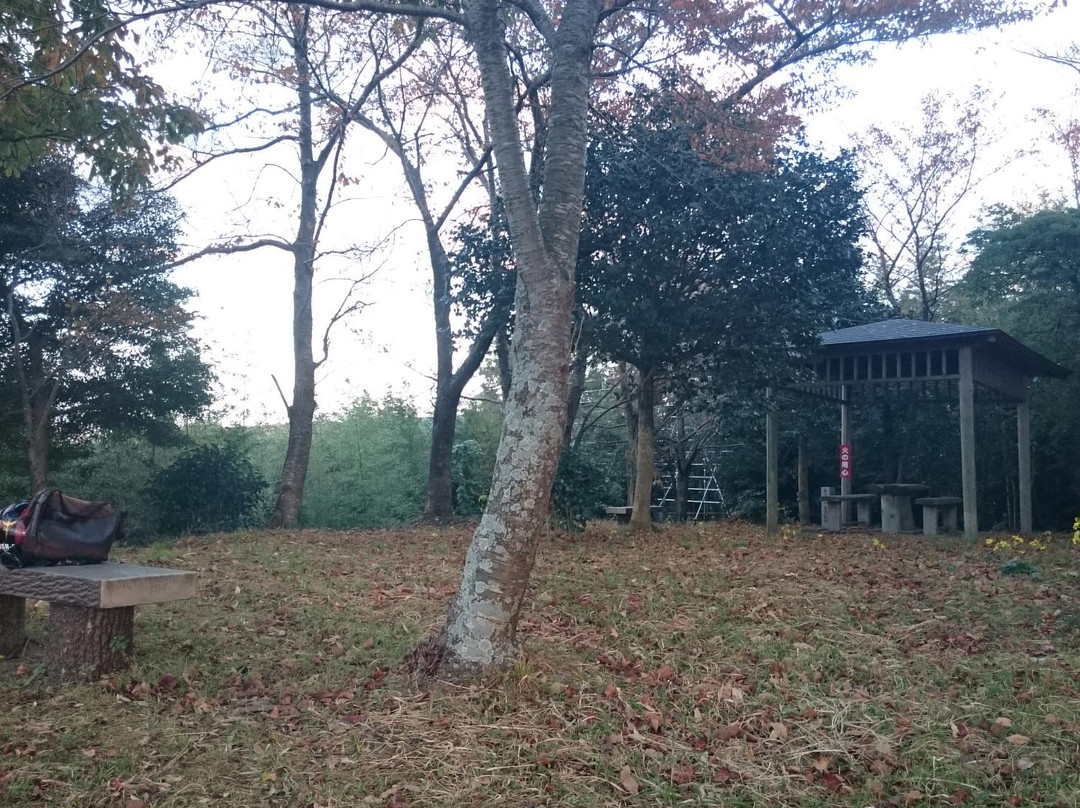 Jinsai Castle Historic Site-出云市必去景点