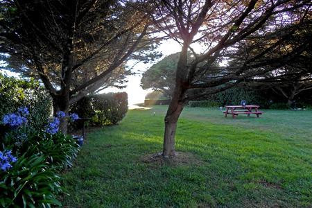 Sea Escape Oceanfront Lodging主图