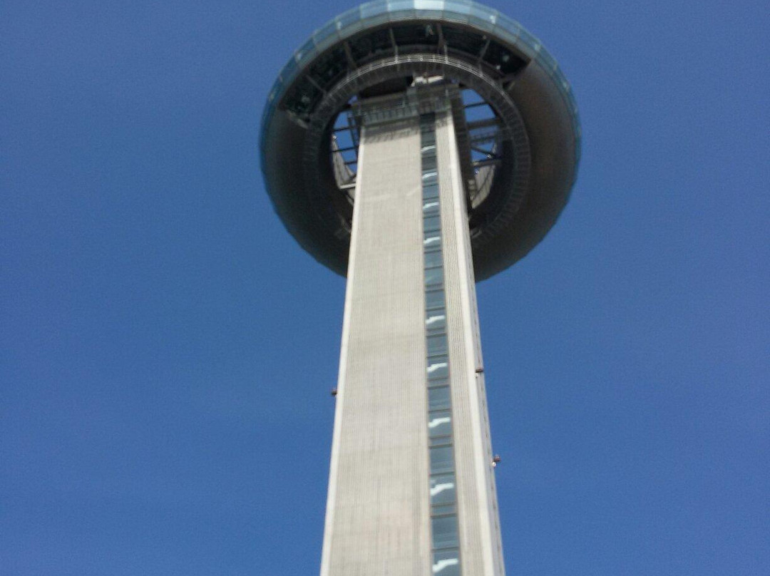 T-Light Park-安山市必去景点