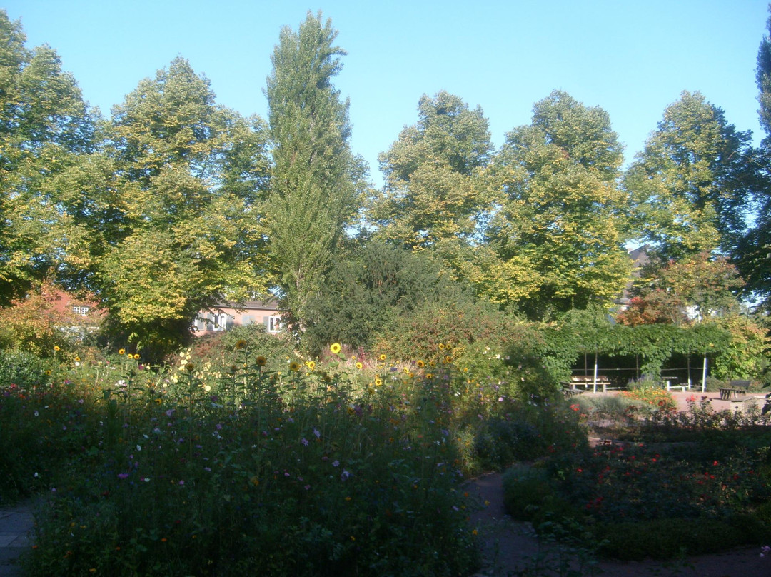 Stadthallengarten-卡塞尔行政区必去景点