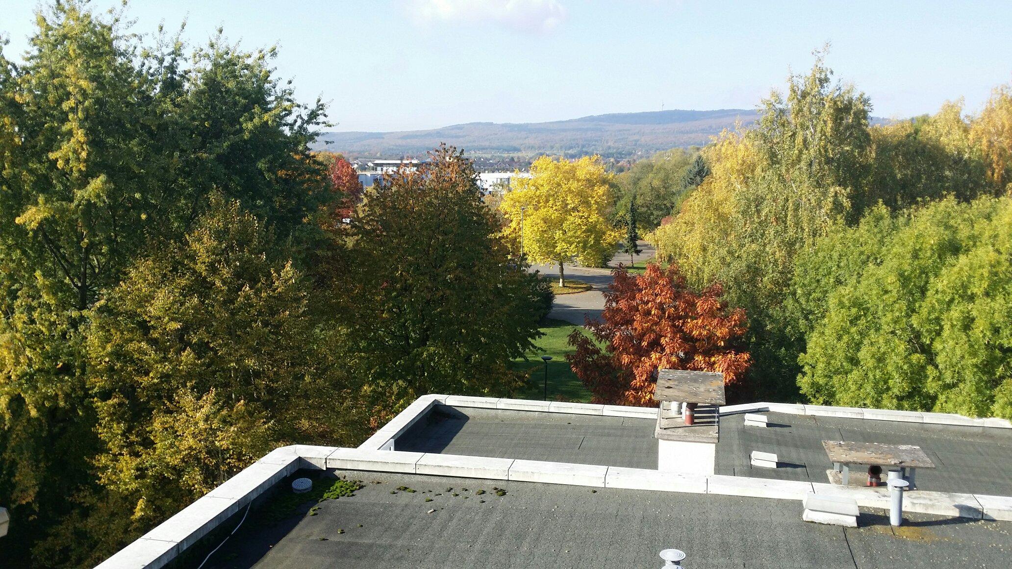 Hotel Restaurant Stadt Friedberg-客卧