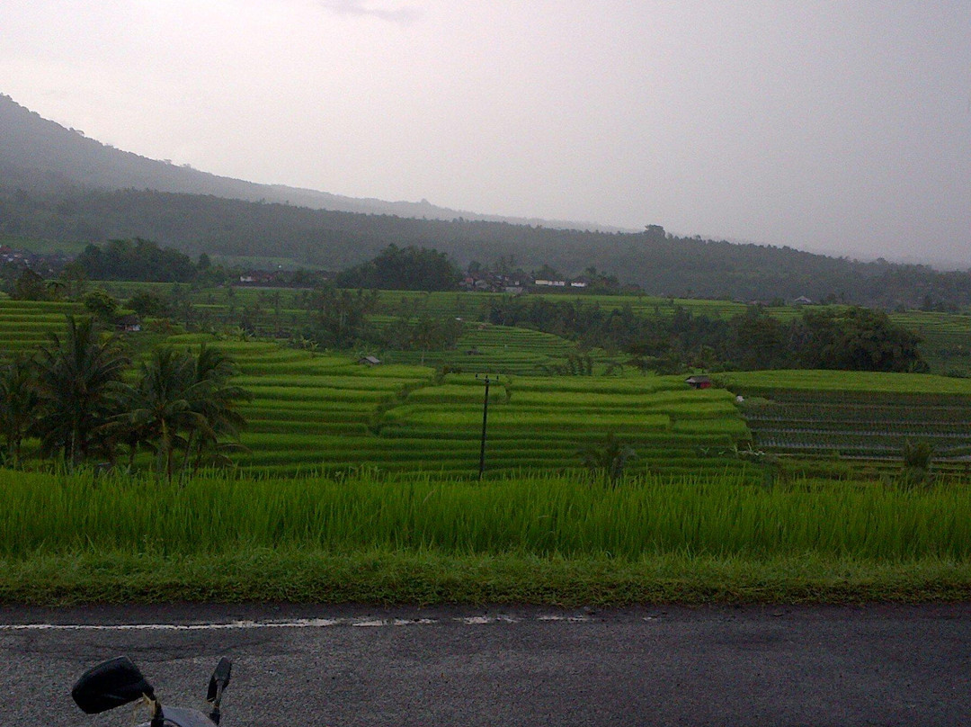 Junas Bali Tour - Day Tours景点图片