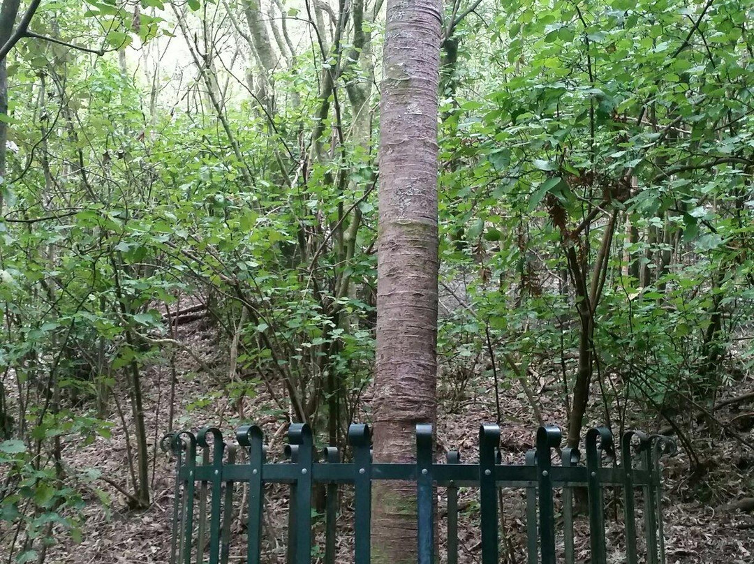 新西兰中心景点图片