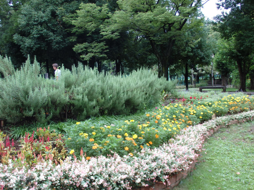 Aobadai Park-朝霞市必去景点