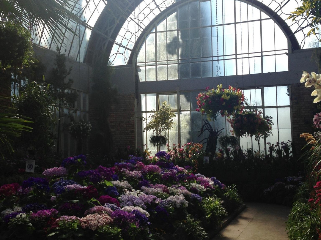 Winter Garden Auckland Domain-奥克兰中心地区必去景点