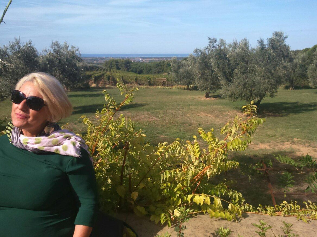 Podere Biserno主图