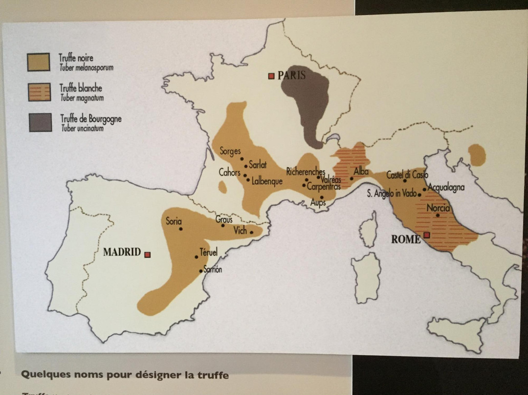 Ecomusée de la Truffe景点图片
